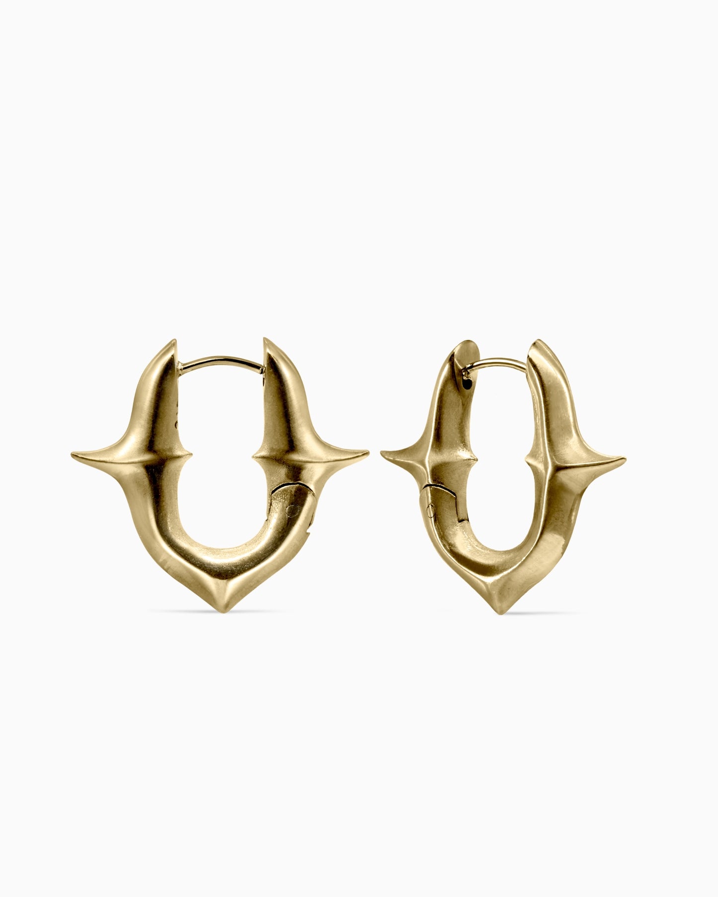 Unholy Grail Earrings-Ear Hoops- Gold - - Ask & Embla