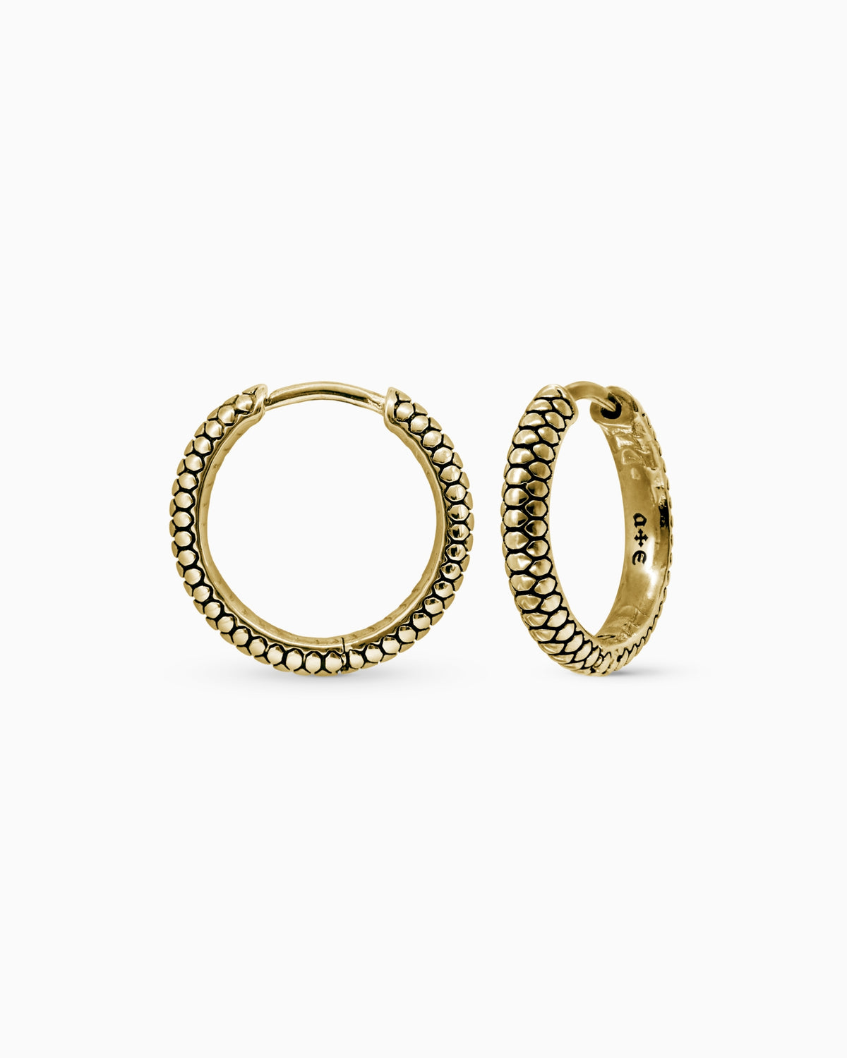 Sin Serpent hoop earrings - medium