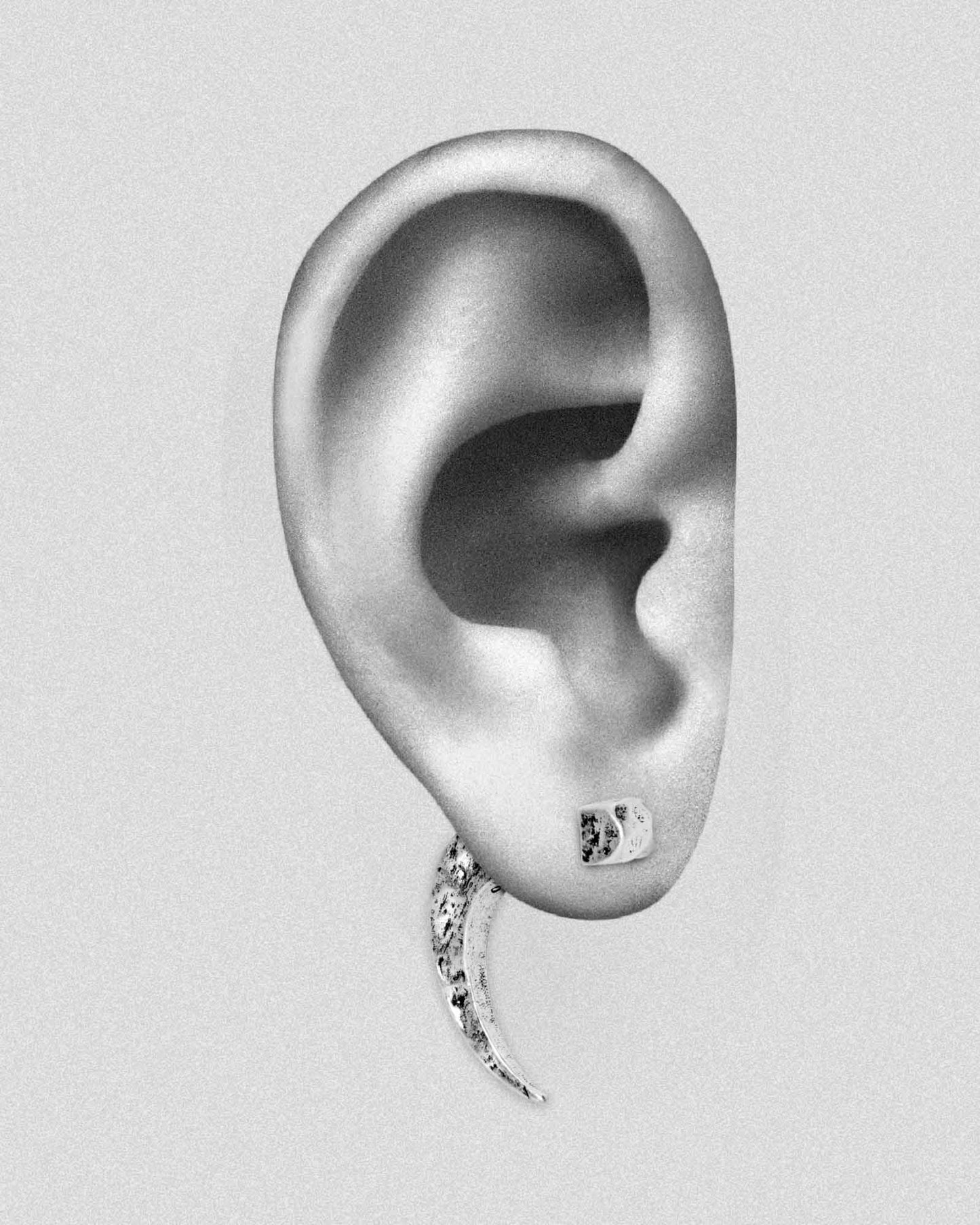 Caracal Earrings