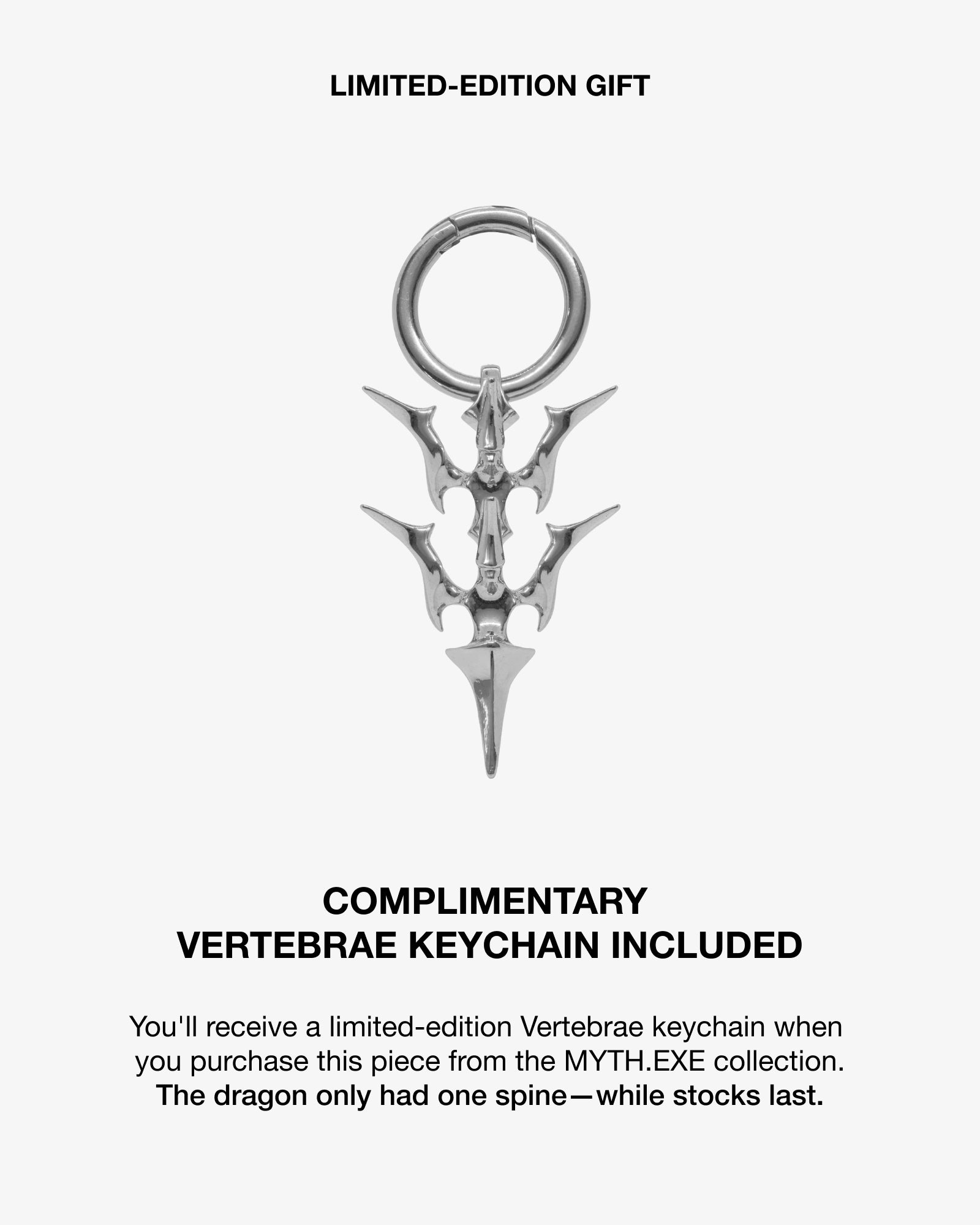Vertebrae necklace - Necklaces - Ask & Embla
