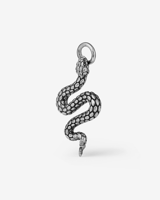 Sorcerer Charm-Charms- Silver - - Ask & Embla