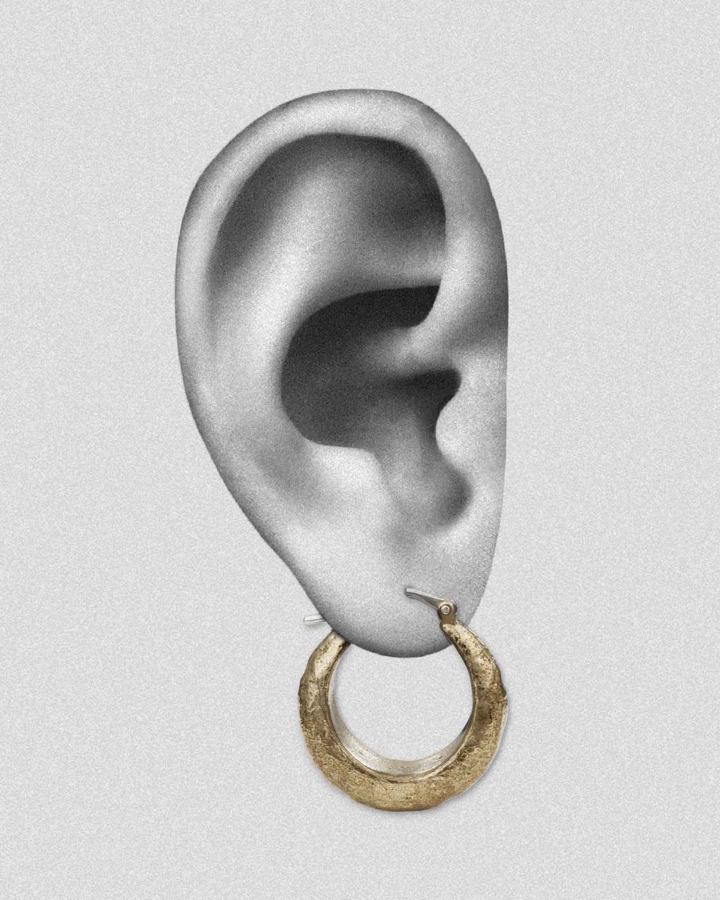 Equiron Earrings