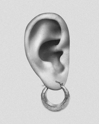 Equiron Earrings