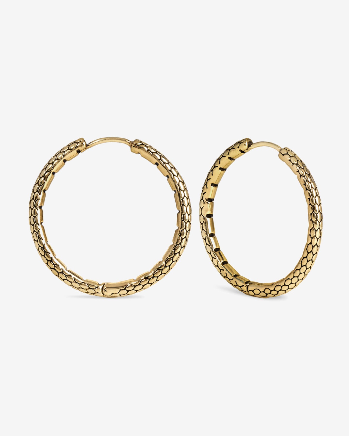 Serpent Hoop Earrings-Ear Hoops- Gold - Large - Ask & Embla