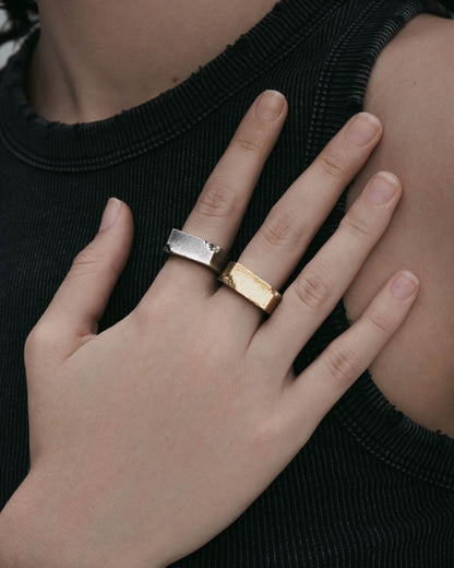 Brute Signet Ring-Rings- US 5 - Gold - Ask & Embla