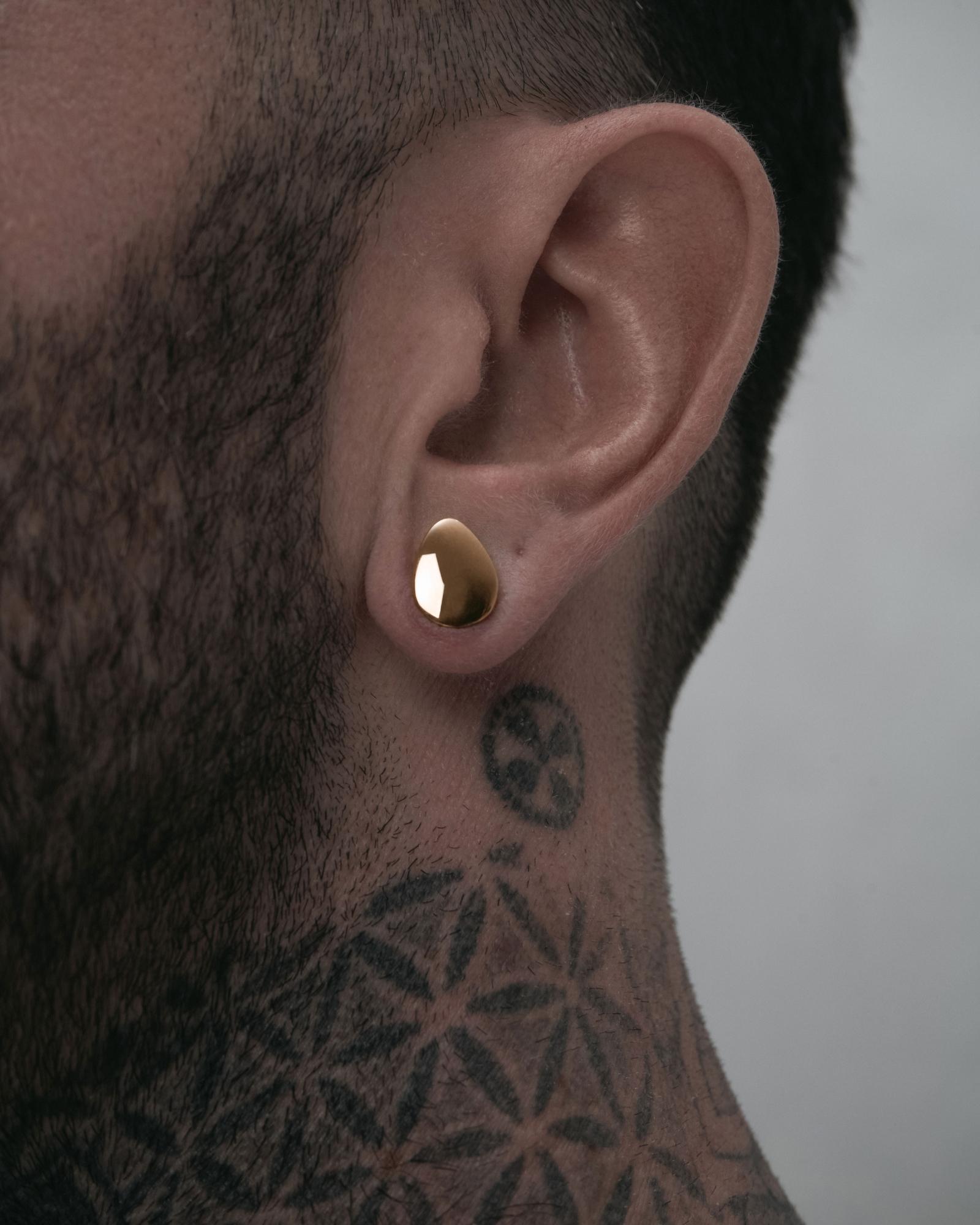 Gold 2025 plug earrings