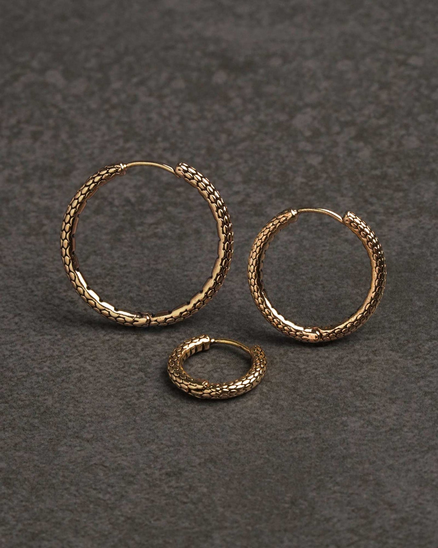 Serpent Hoop Earrings - Earrings - Ask and Embla