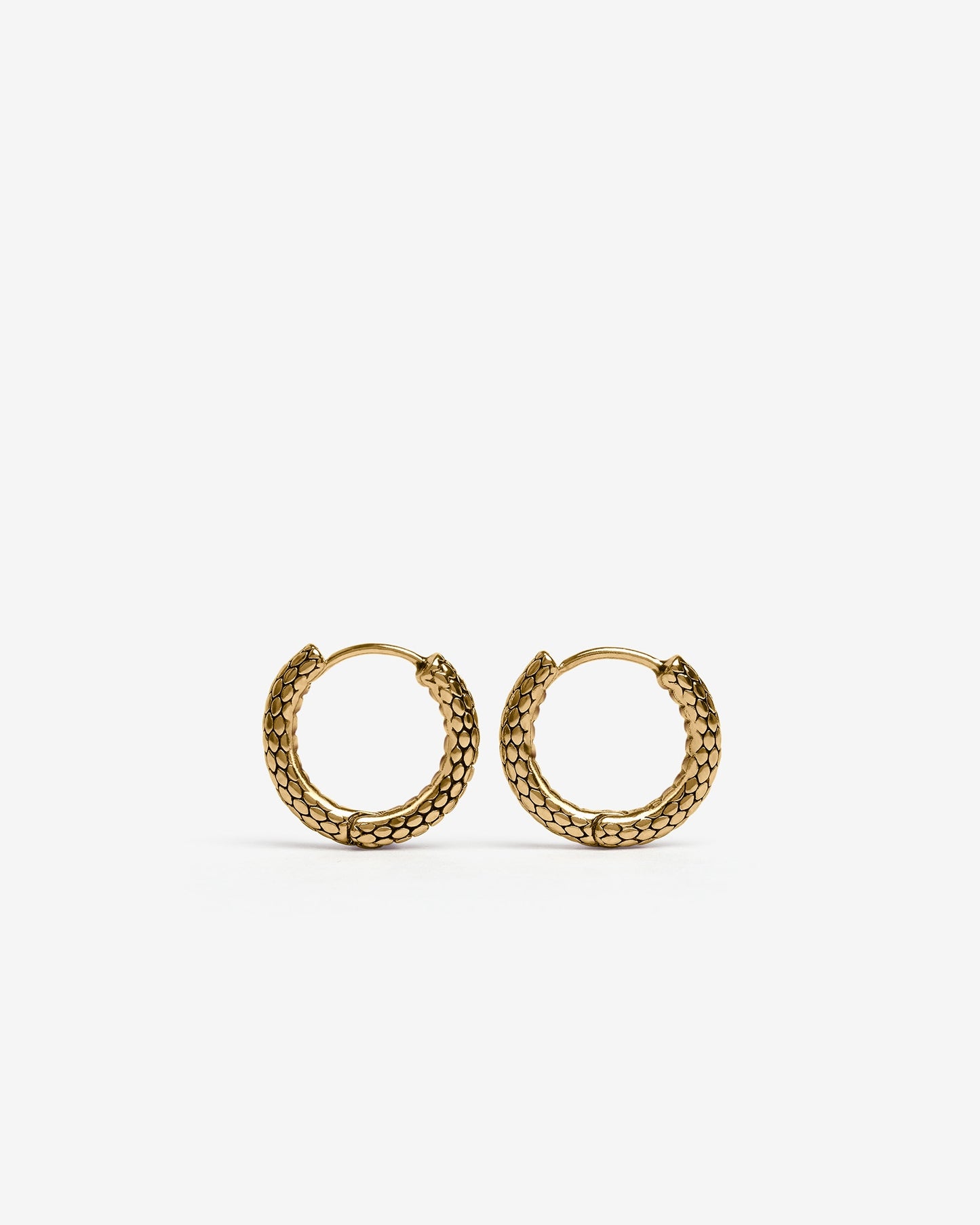 Serpent Hoop Earrings-Ear Hoops- Gold - Small - Ask & Embla