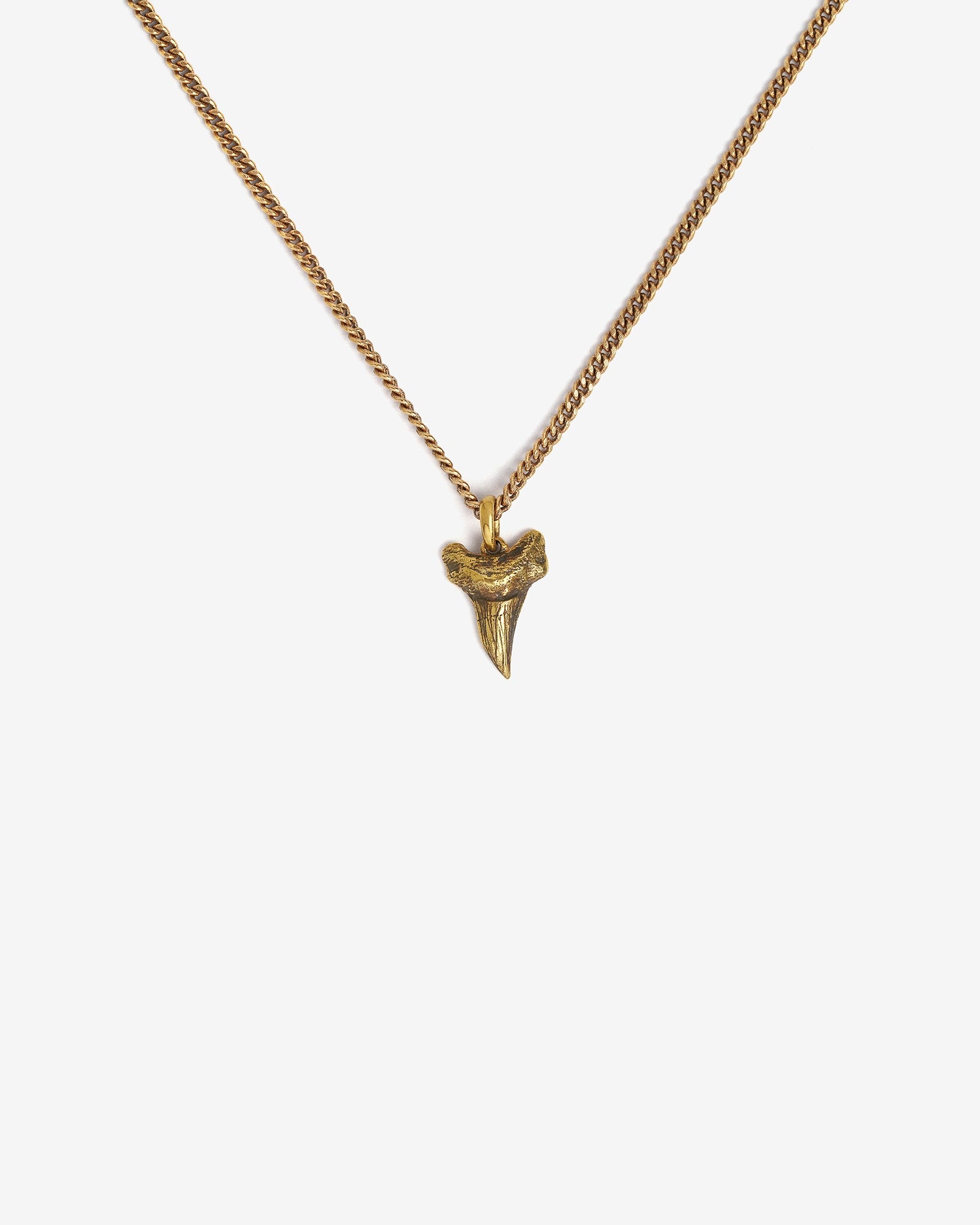 Carnivore Pendant Necklace - Necklaces - Ask and Embla